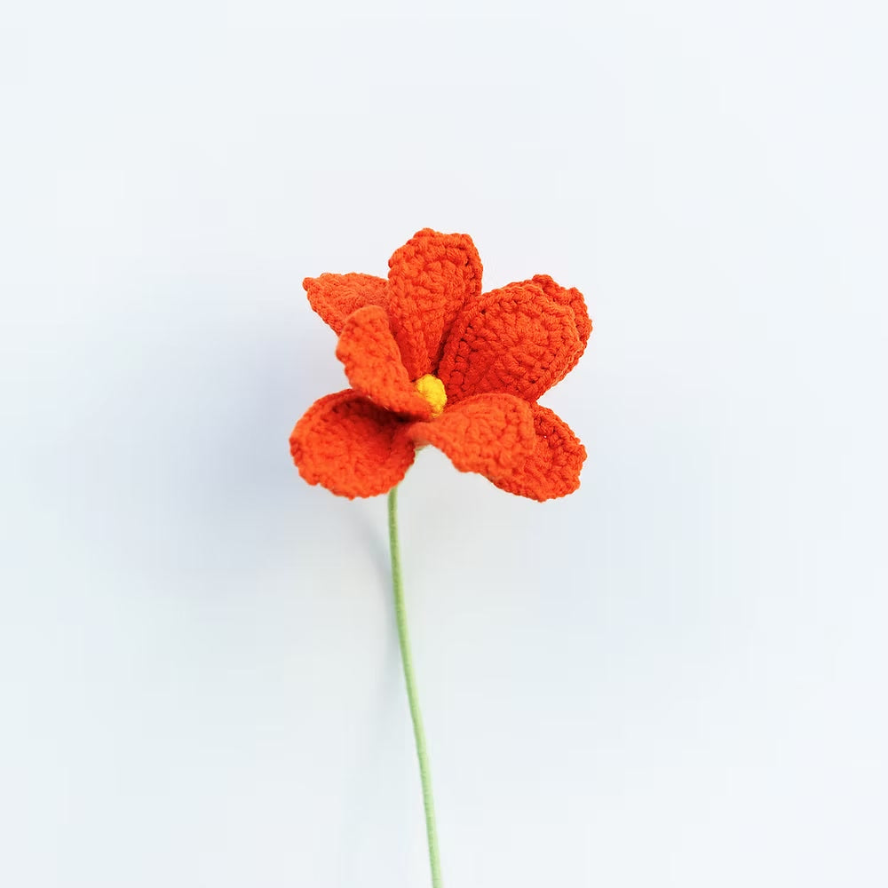 Cosmos/Shrubby Cinquefoil Light Orange