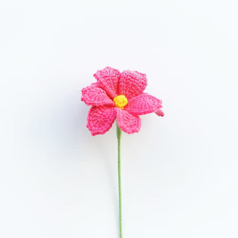 Cosmos/Shrubby Cinquefoil Pink