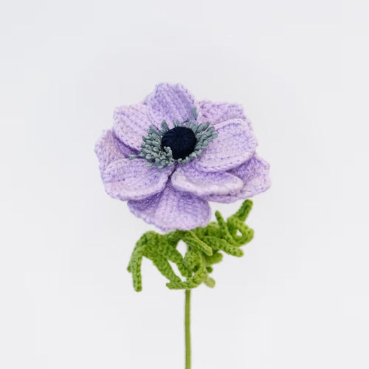 Anemone Purple