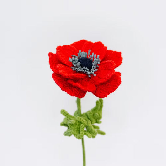 Anemone Red