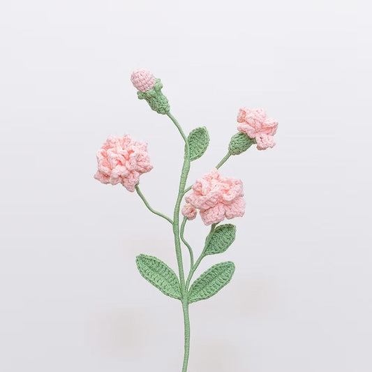 Arabian Jasmine Pink