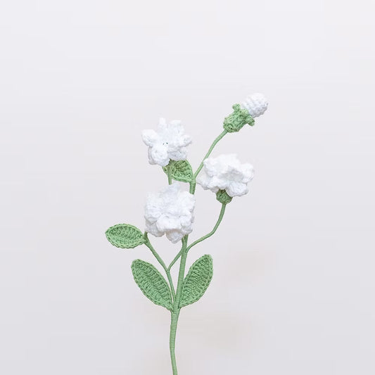 Arabian Jasmine White