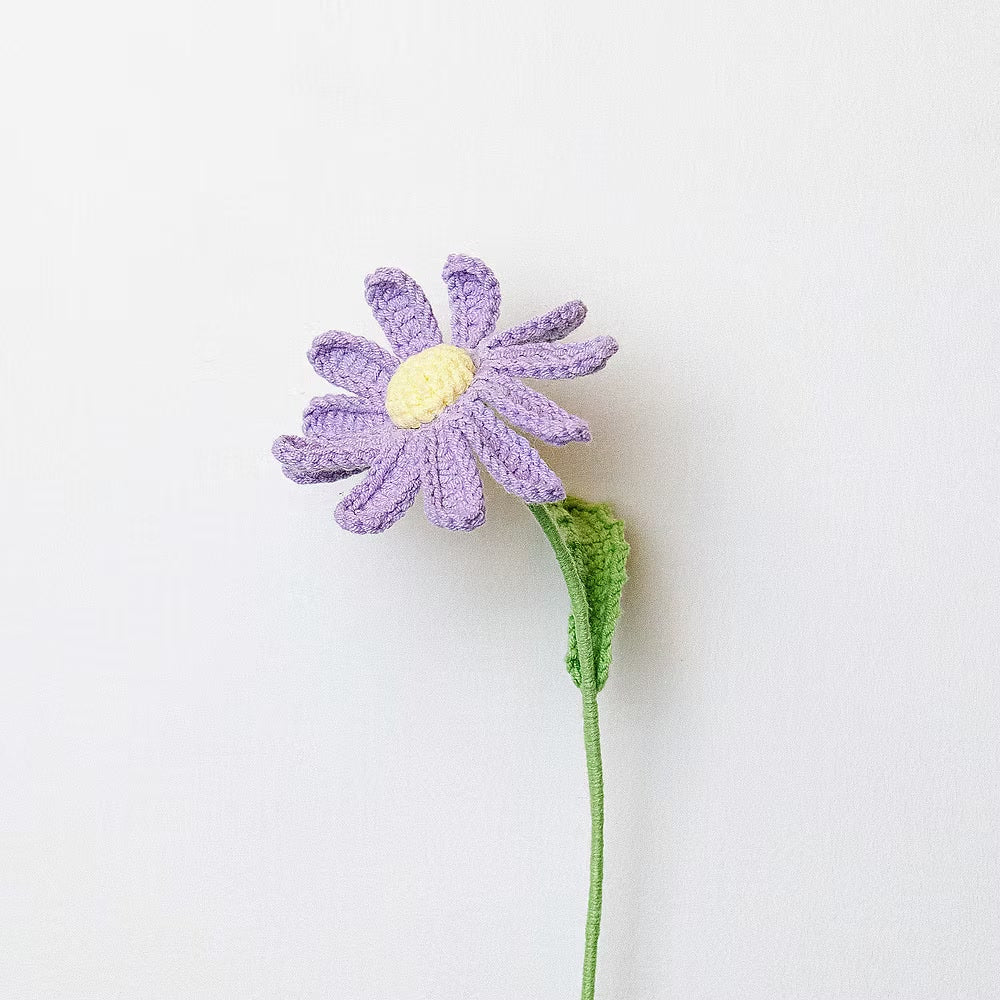 Aster Purple