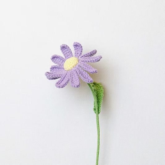 Aster Purple