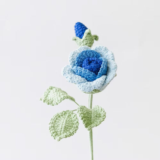 Baby Rose Blue