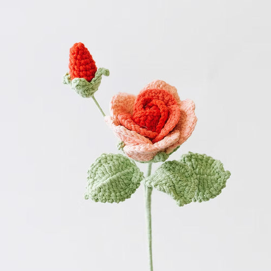 Baby Rose Pink