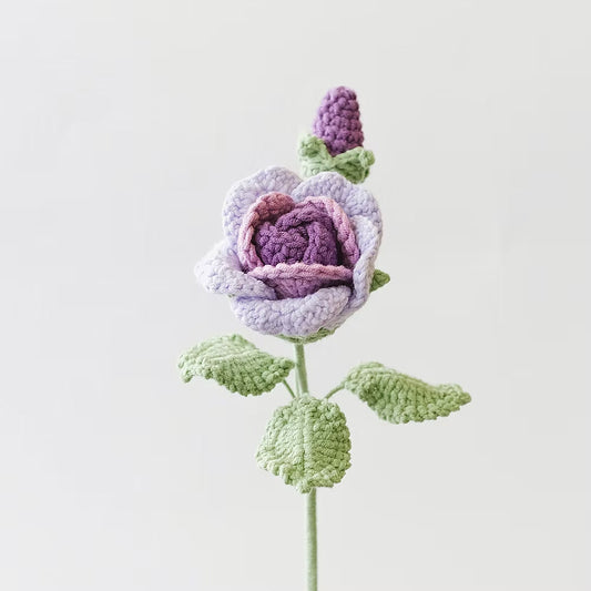Baby Rose Purple
