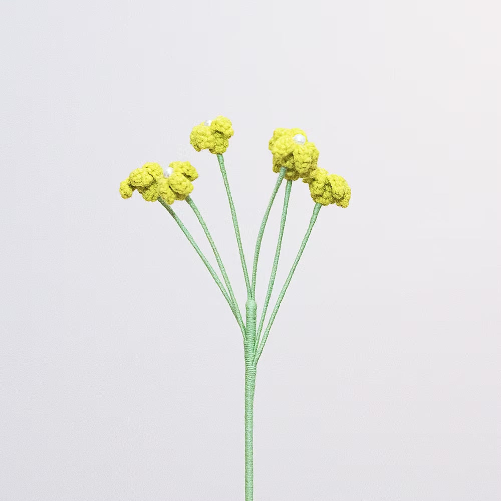 Baby's Breath Green