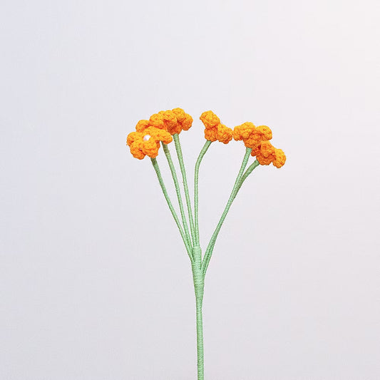 Baby's Breath Orange