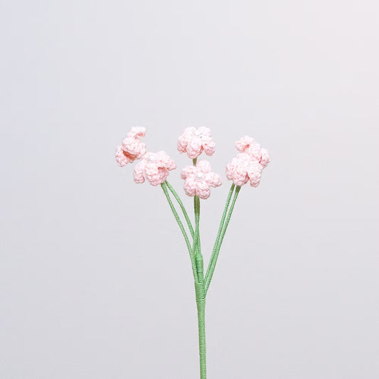 Baby's Breath Pink