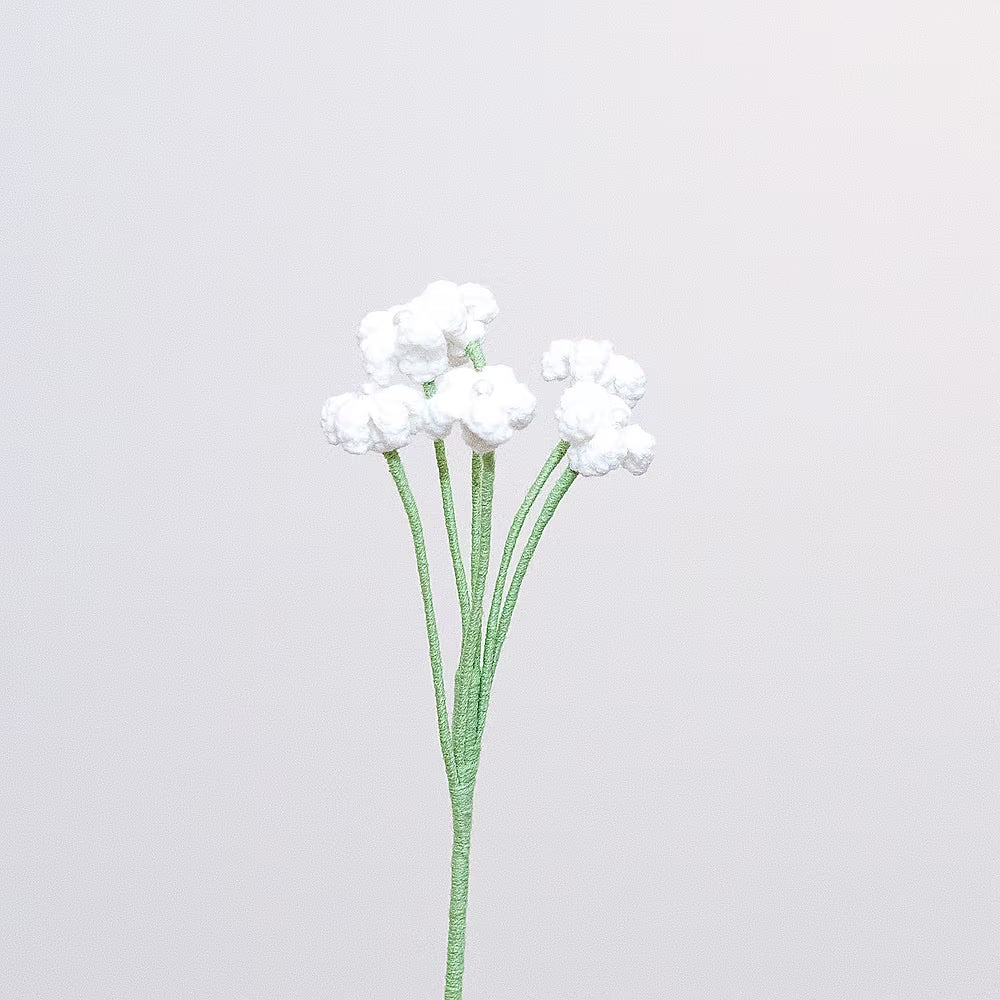 Baby's Breath White
