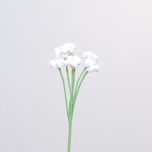 Baby's Breath White