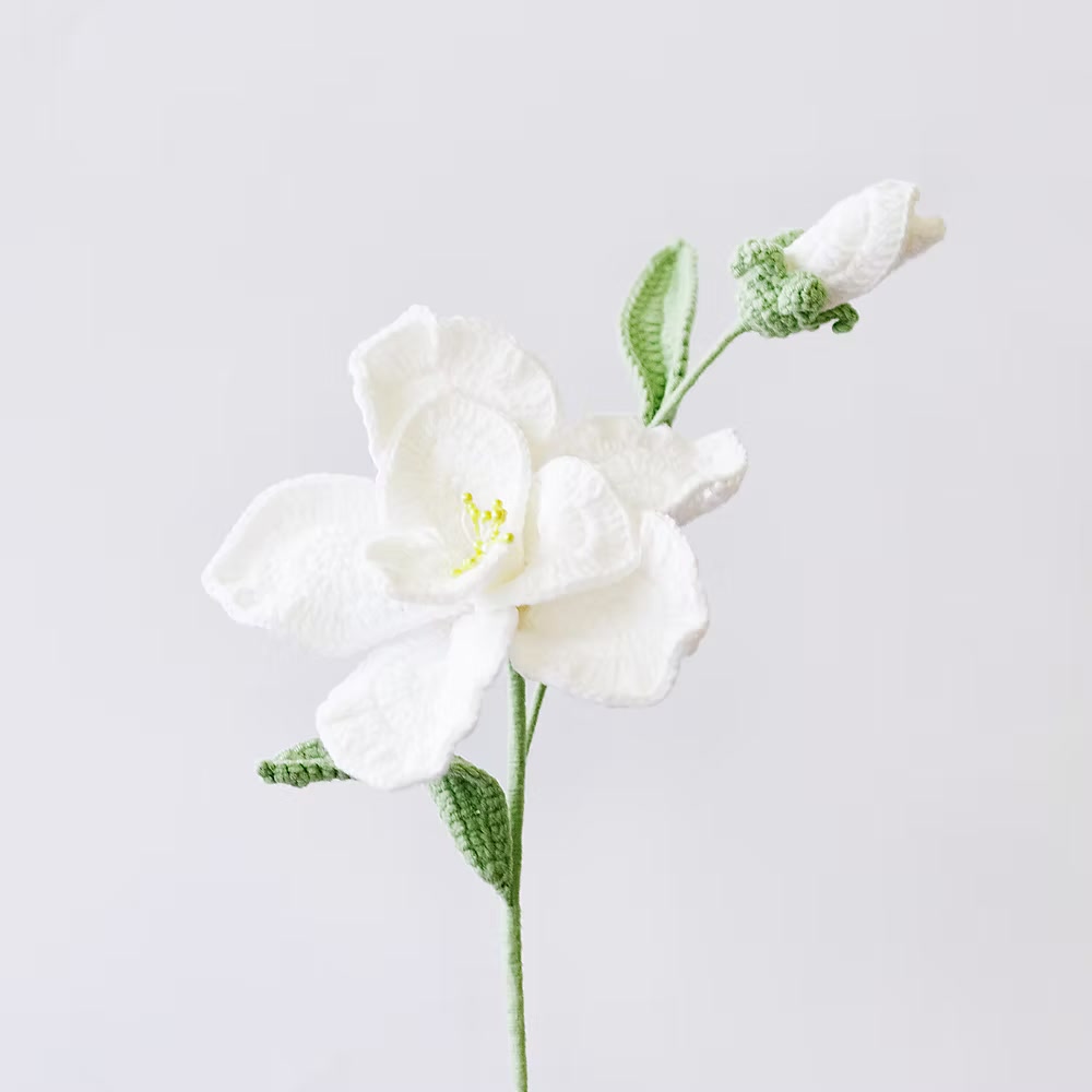 Balloon Flower White