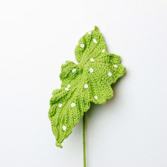 Begonia Green