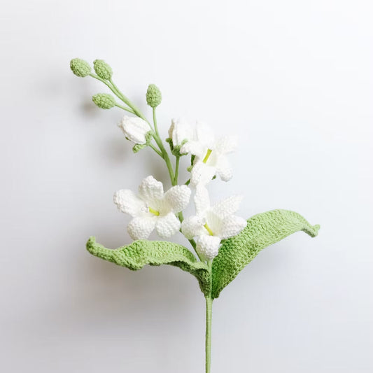 Bellflower White