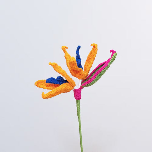 Bird of Paradise Orange