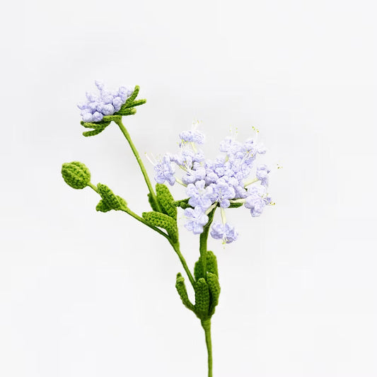 Blue Lace Flower Purple