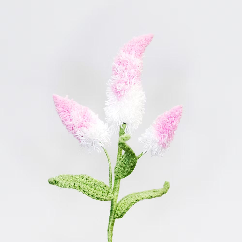 Bunny's Tail Pink