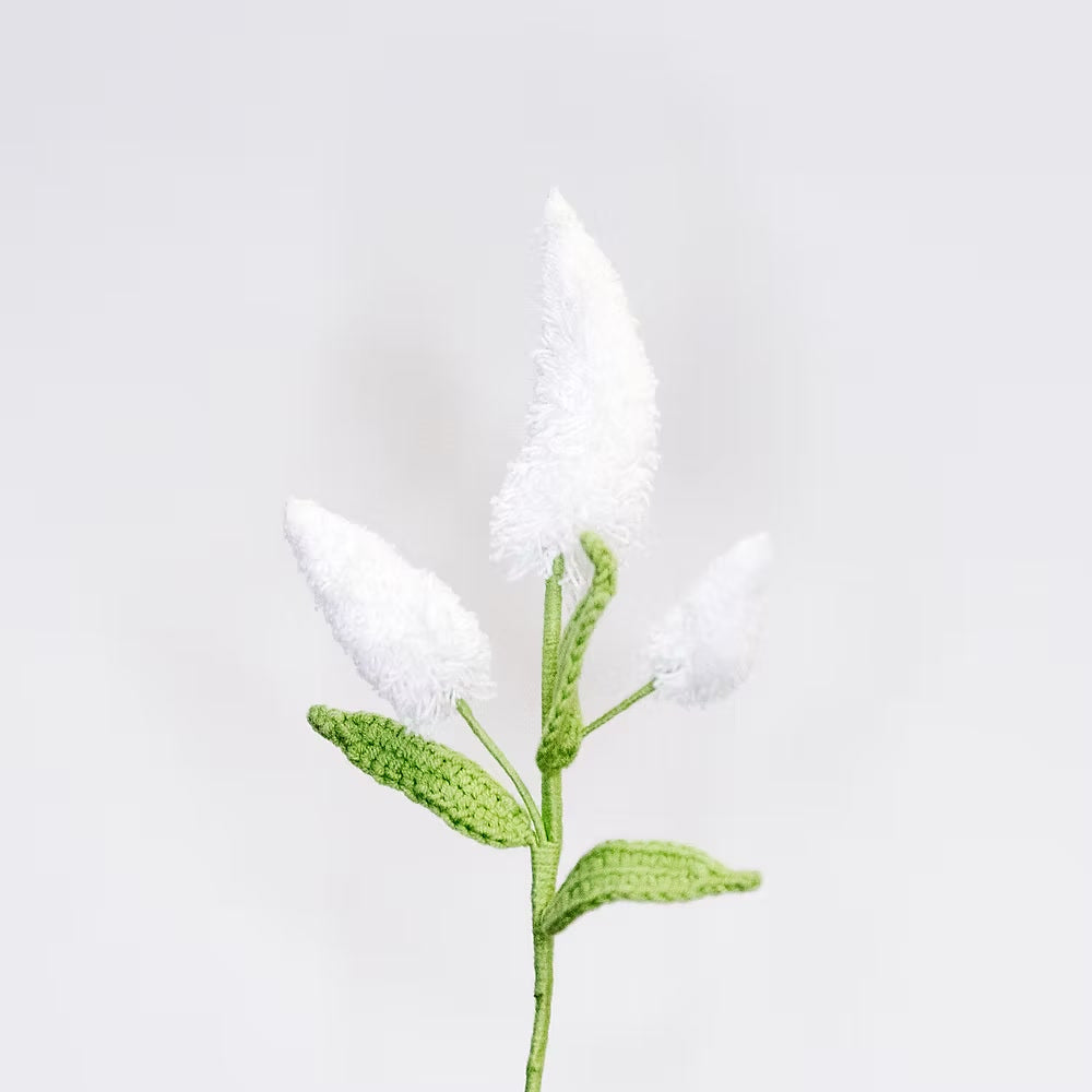 Bunny's Tail White