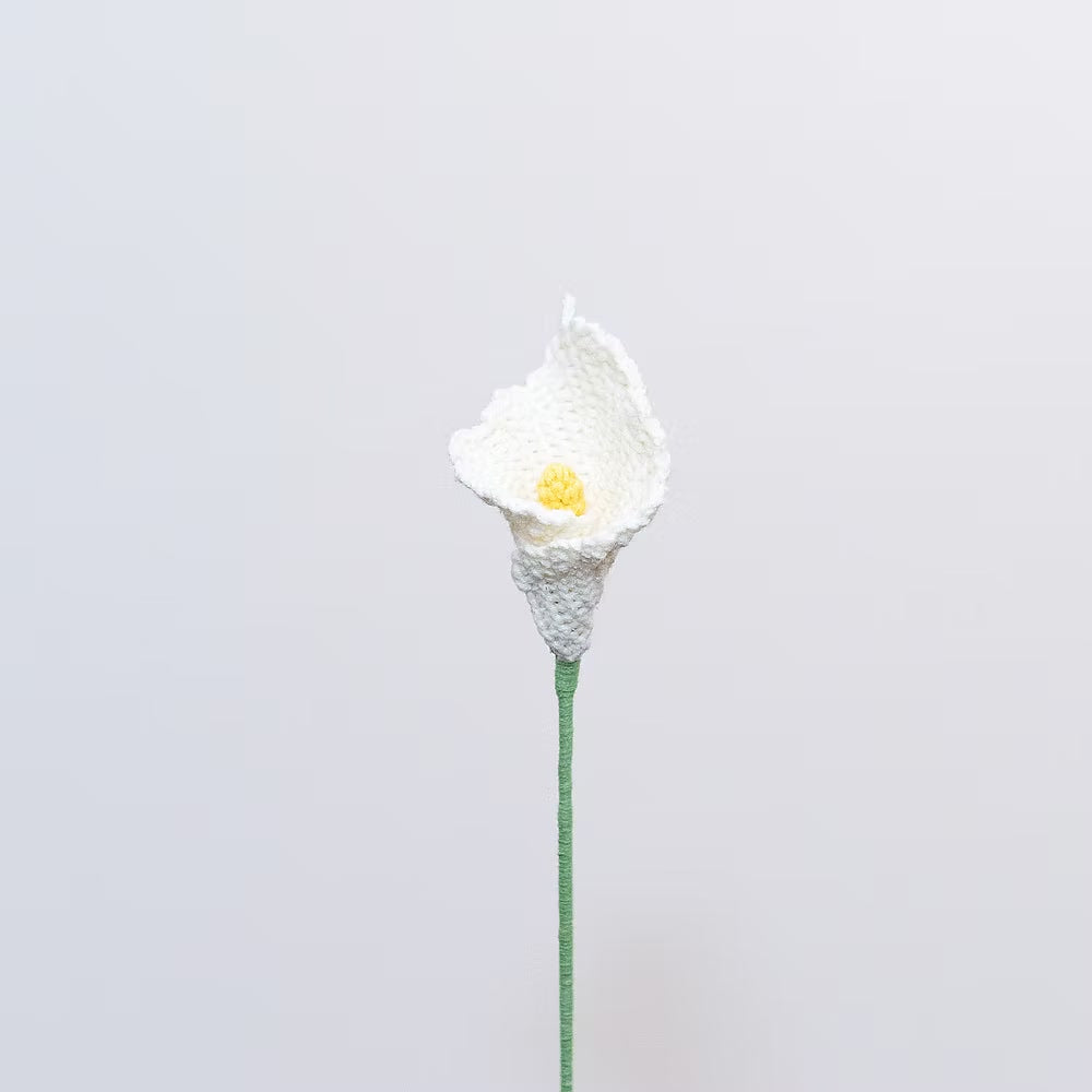 Calla Lily White