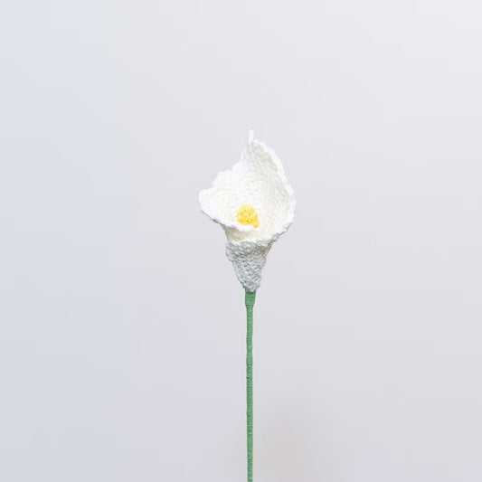 Calla Lily White