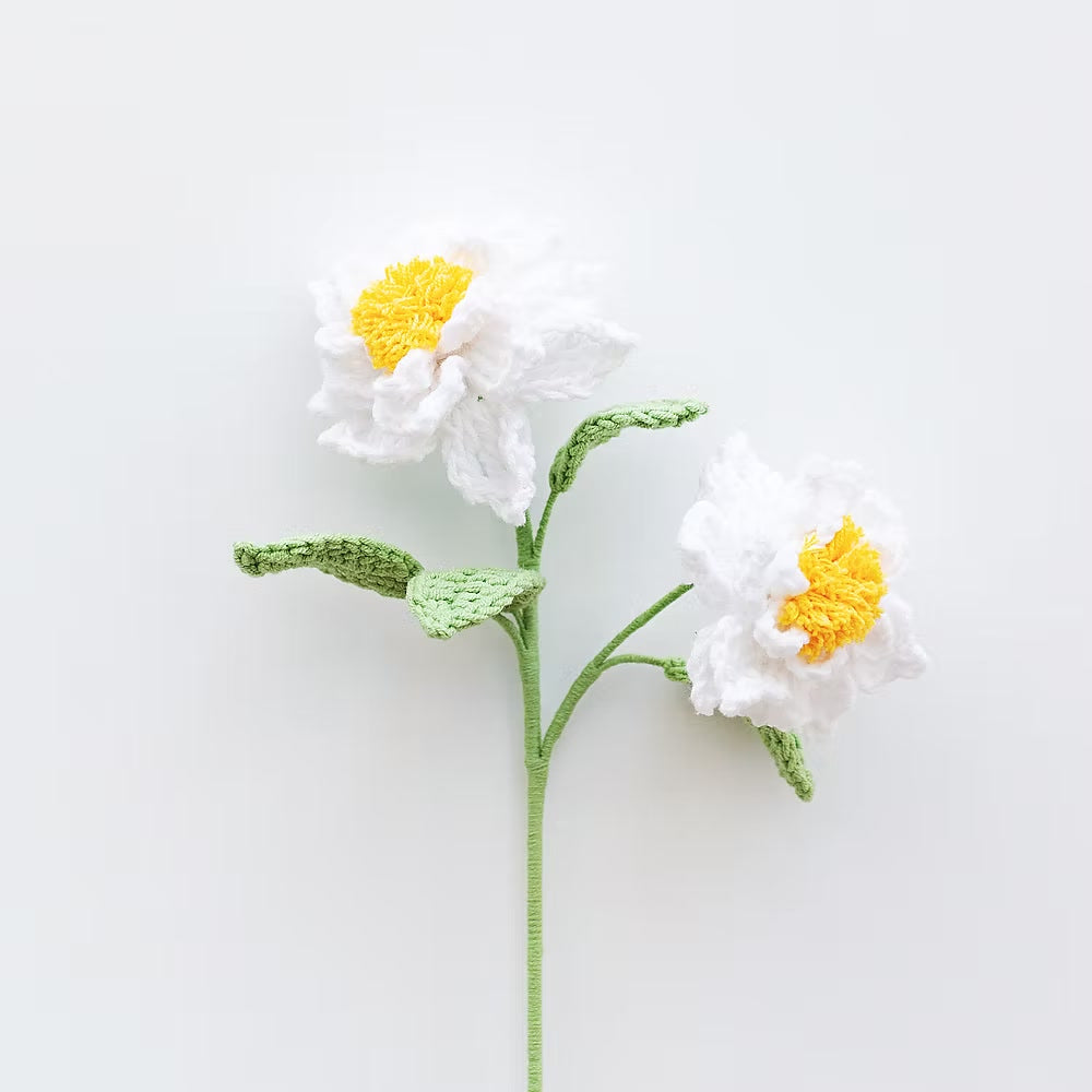 Cape Jasmine White