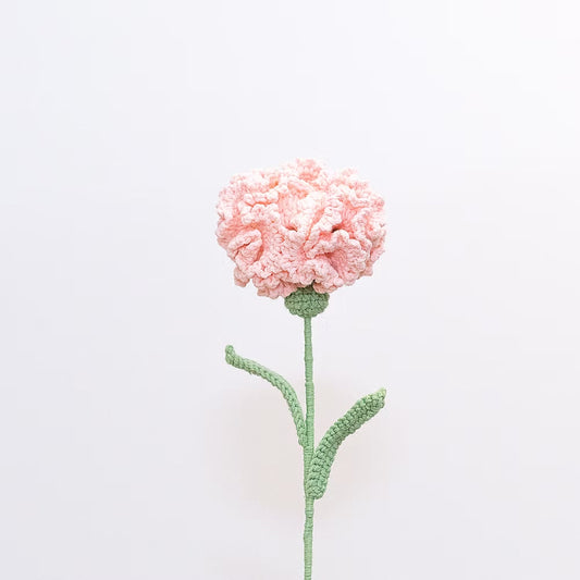 Carnation Light Pink