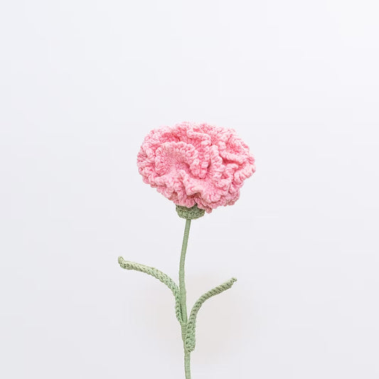 Carnation Orange Pink