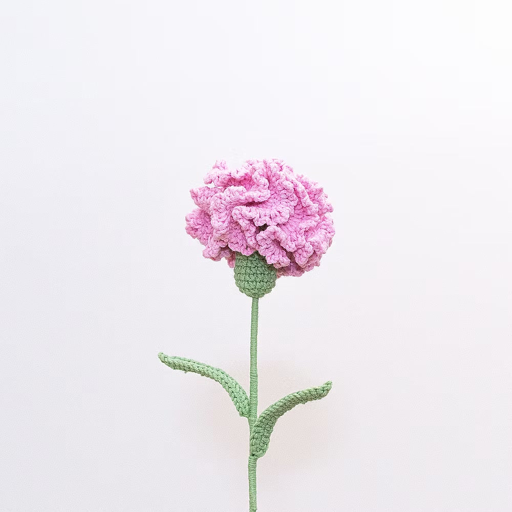 Carnation Pink
