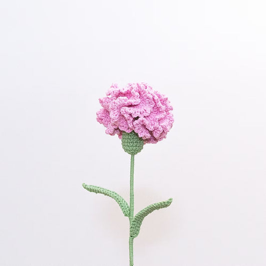 Carnation Pink