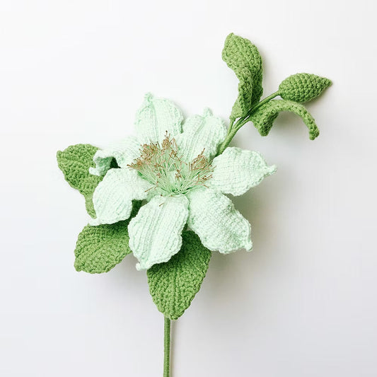 Clematis Green