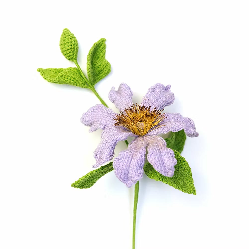 Clematis Purple