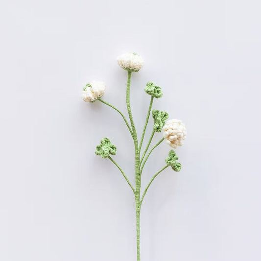 Clover White
