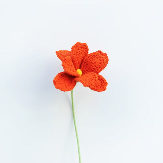 Cosmos/Shrubby Cinquefoil Light Orange