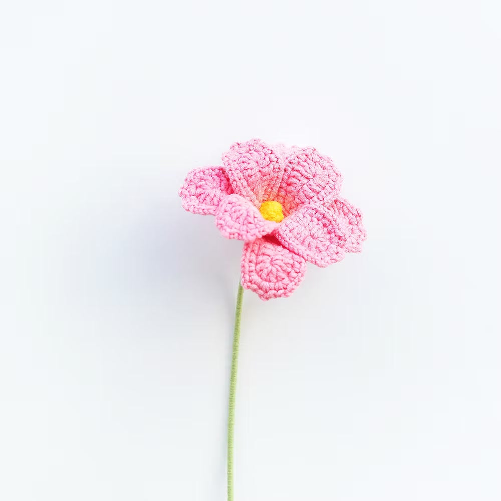 Cosmos/Shrubby Cinquefoil Light Pink