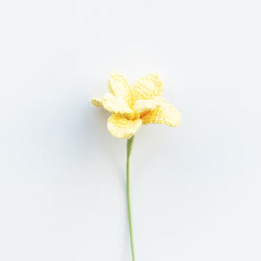 Cosmos/Shrubby Cinquefoil Light Yellow