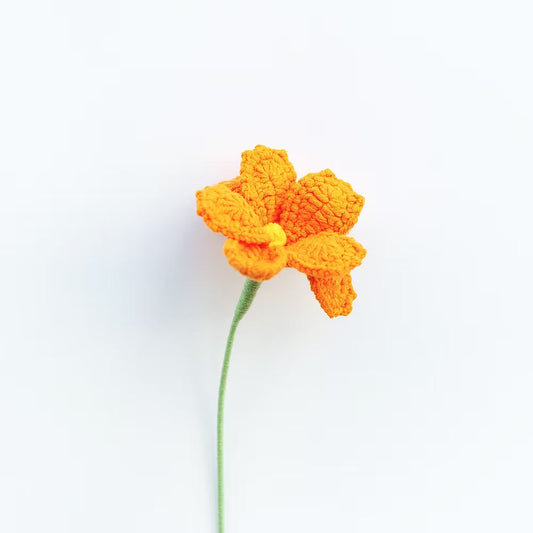 Cosmos/Shrubby Cinquefoil Orange
