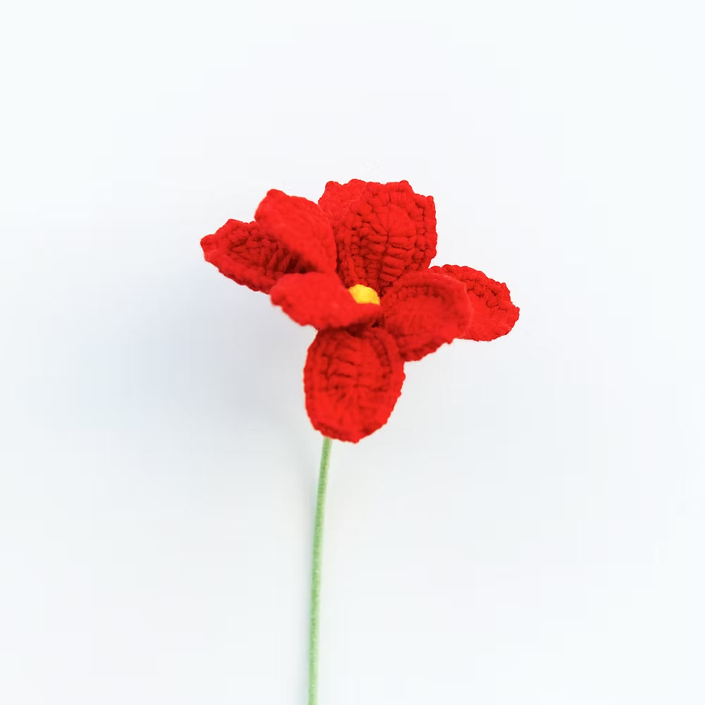 Cosmos/Shrubby Cinquefoil Red