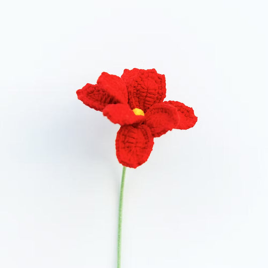Cosmos/Shrubby Cinquefoil Red