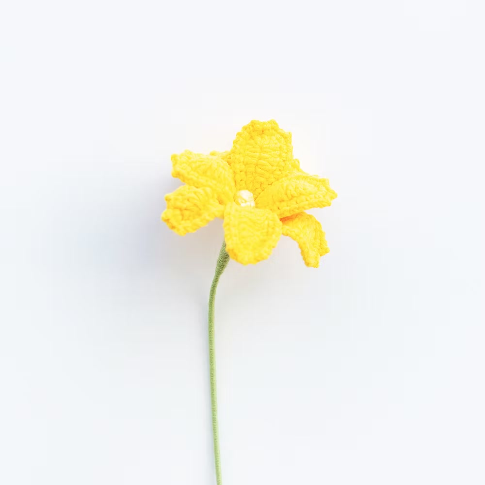 Cosmos/Shrubby Cinquefoil Yellow