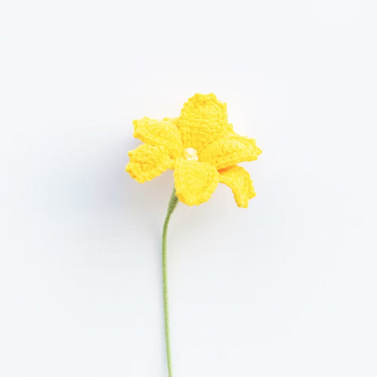 Cosmos/Shrubby Cinquefoil Yellow