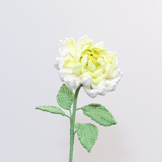 Dahlia Green