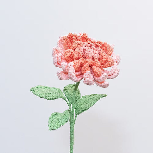 Dahlia Light Pink