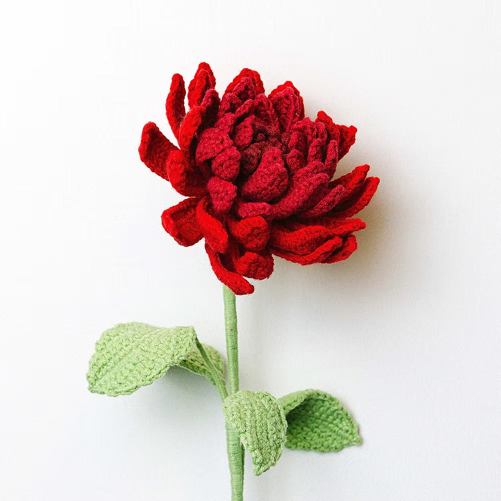 Dahlia Red
