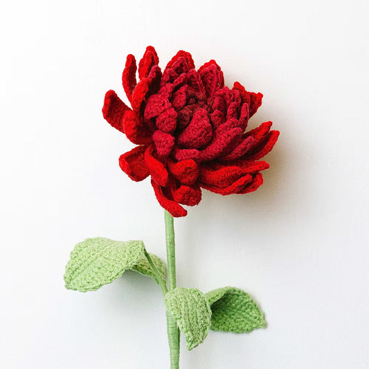 Dahlia Red
