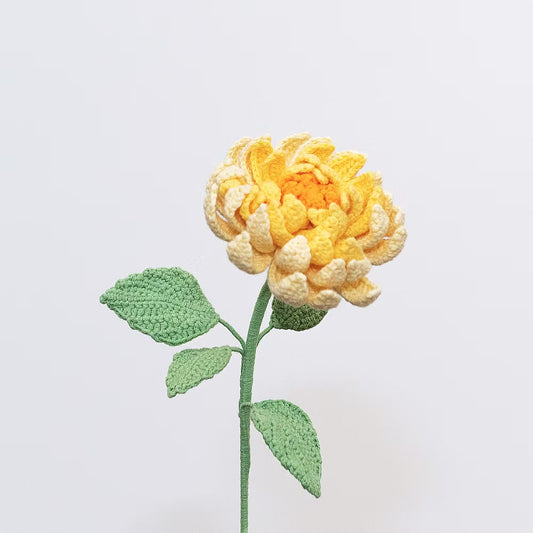 Dahlia Yellow