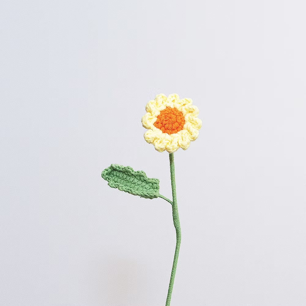 Daisy Orange