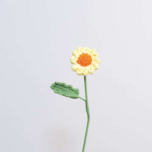 Daisy Orange