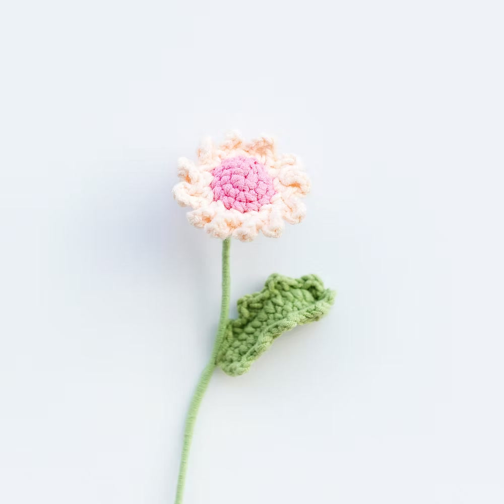 Daisy Pink