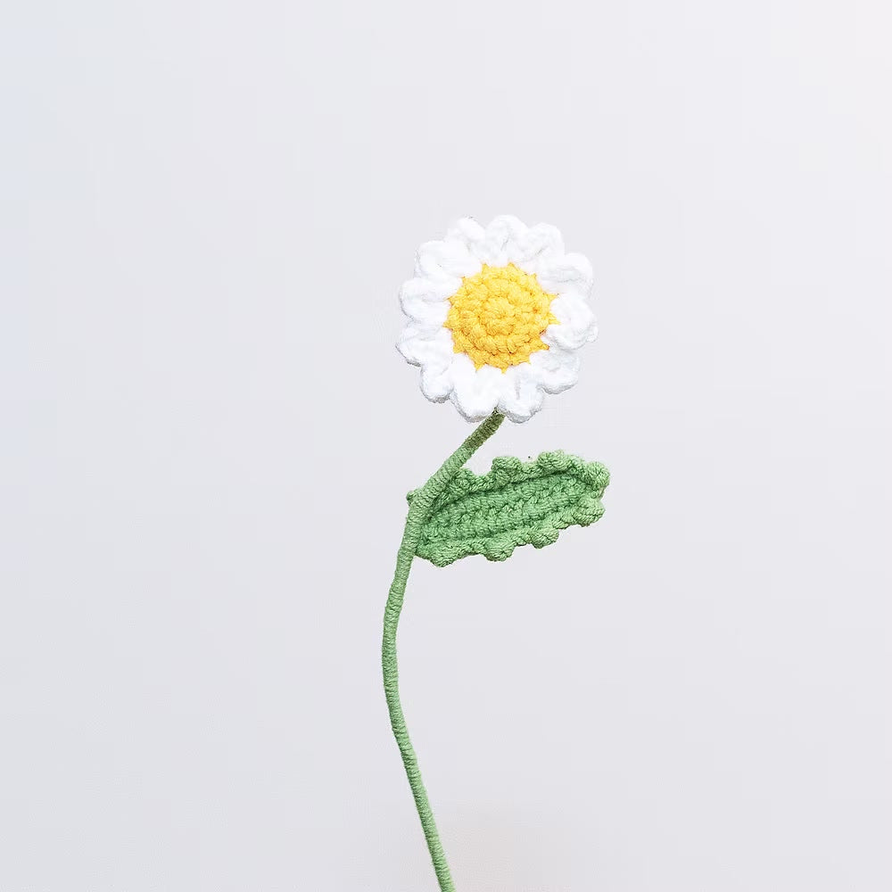 Daisy Yellow